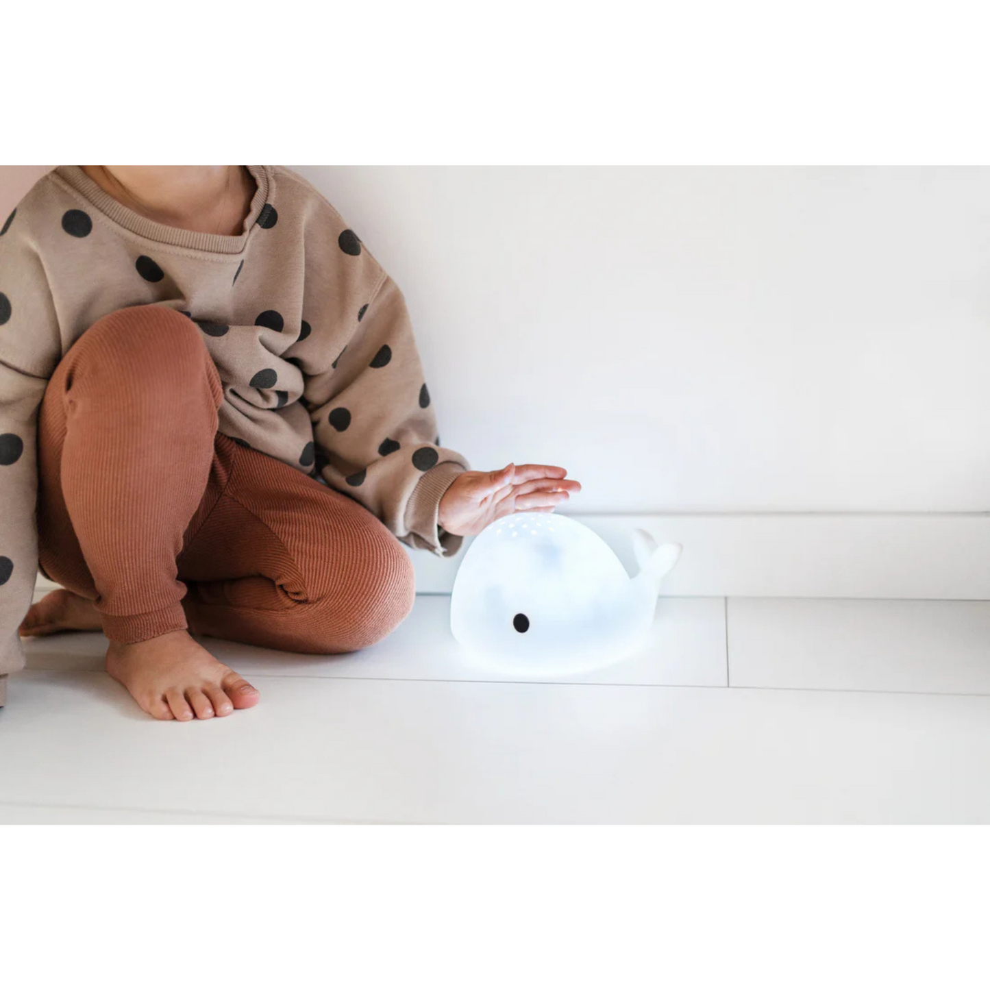 Flow Projector Moby