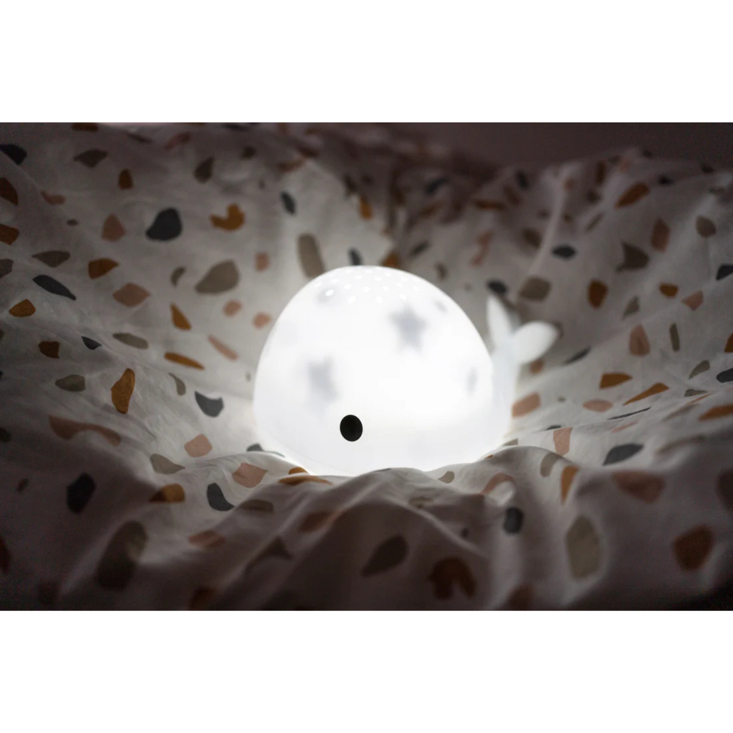 Flow Projector Moby