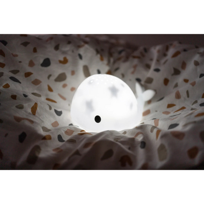 Flow Projector Moby
