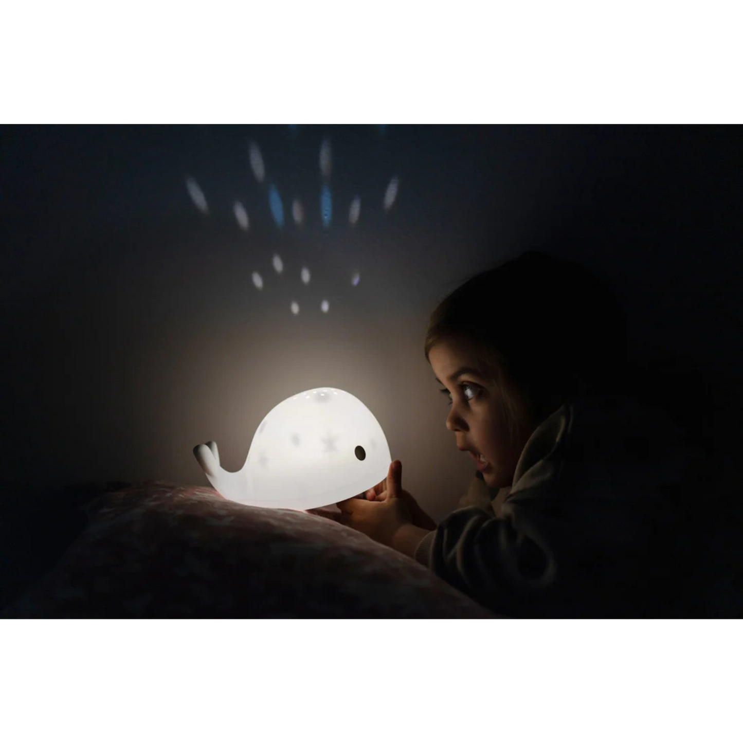 Flow Projector Moby