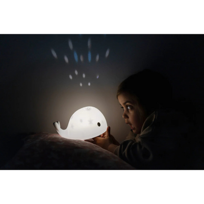 Flow Projector Moby
