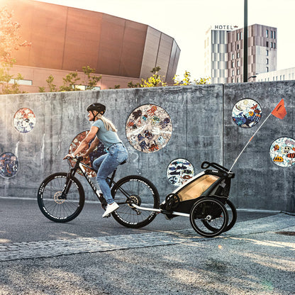 Thule Chariot Lite single