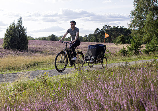 Mann fährt mit dem Fahrrad in der Natur mit einem angehängten Fahrradanhänger der Firma TFK
